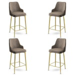 4 baaritooli komplekt Enox, cappuccino/kuldne v&auml;rv