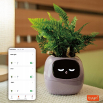 Ivy Smart Planter nutikas istutusmasina kate kuvafunktsioonidega