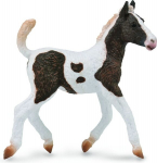 Bashkir Curly varss - Collecta
