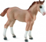 Red Dun varss - Collecta