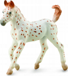 Knabstrupper varss - Collecta