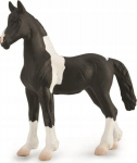 Bar Pinto varss - Collecta