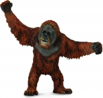 Orangutan - Collecta