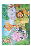 Vaip Sympathy , 160x230 cm, erinevates v&auml;rvitoonides