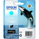 EPSON T7602 Ts&uuml;ani tindikassett - Ork (C13T76024010)