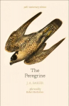 Peregrine: 50th Anniversary Edition: Afterword by Robert Macfarlane Anniversary edition