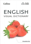 English Visual Dictionary: A Photo Guide to Everyday Words and Phrases in English