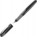 T&auml;itesulepea SCHNEIDER Ray, hall korpus