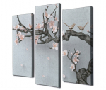 Kolmeosaline reproduktsioon Sakura