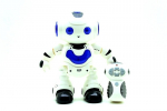 Robot R/C juhtimise pult