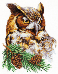Tikkimiskomplekt Magic Needle "Owl" 64-03