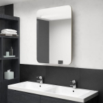 vidaXL LED-idega vannitoa peegelkapp, tamm, 60 x 11 x 80 cm