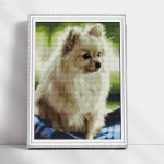 Teemantmosaiigi komplekt 30x40 cm. "True friend"