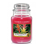 L&otilde;hnak&uuml;&uuml;nal Yankee Candle Large Jar Tropical Jungle 623 g