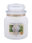 L&otilde;hnak&uuml;&uuml;nal Yankee Candle Camellia Blossom 411 g