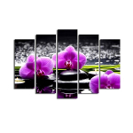 Viieosaline reproduktsioon Orhidee