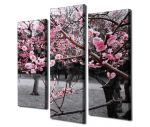Viieosaline reproduktsioon Sakura