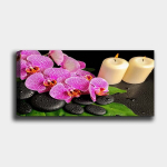 Reproduktsioon Orhidee