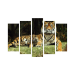 Viieosaline reproduktsioon Tiiger