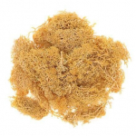 K&auml;sit&ouml;&ouml; sammal, kollane, 30g