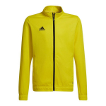 Laste kampsun Adidas Entrada 22 HI2139, kollane