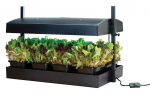 Grow Light Garden