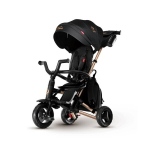 Kolmerattaline QPlay Trical Bike Nova Gold