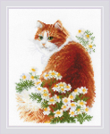 Ristpistekomplekt Ginger Meow 24x30 RIOL2110