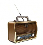 RS-01 Retro raadiovastuv&otilde;tja Hele puiduv&auml;rvi