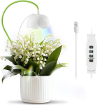 LED taimelamp Diivoo GL13M