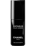 Chanel Antaeus - EDT