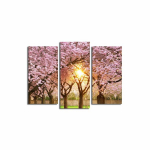 Kolmeosaline reproduktsioon &Otilde;itsev sakura