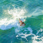 Bodyboard laud Aquatone Buzz 50" Os