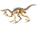 Sea-land puidust 3d pusle dinosaurus velociraptor color