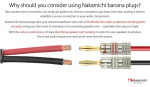 Nakamichi Ultimate Series 24k kullatud ber&uuml;lliumpunase vase banaanipistikud k&otilde;larikaablile 12-18 Awg, suurus 4 mm, Hifi kasti v&otilde;imendile, 10 tk (5 paari)