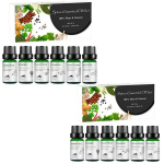 SALKING Winter Spice eeterlike &otilde;lide komplekt 6 tk, 2 pakki