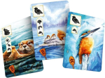 Asmodee, lauam&auml;ng Meadow: Jet-alusega, lisa