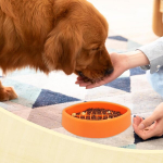 Seatogem Aeglase S&ouml;&ouml;mise Koerte Kauss, S&ouml;&ouml;tmiskausid Koertele Ragbipalli Kujulised, V&auml;ltimaks Neelamist, Koertele, Libisemiskindel, Silikoonist Koerte Kauss Kassidele ja V&auml;ikestele Koertele