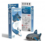 Konstruktor 3D Eugy Haikala