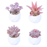 Kunstlilled,Kontorikaunistused potitaimed-kujulised potitaimed,Stiil1