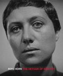 Roni Horn: The Detour of Identity, Roni Horn: The Detour of Identity