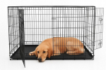 Suur metallist koerapuur / aedik / transpordiboks XXL 107&times;71&times;77,5 cm