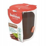 Bolsius True Scents l&otilde;hnak&uuml;&uuml;nal Oud Wood, ~25 tundi.