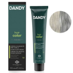 Dandy Hair Color v&auml;rvimiskreem meestele juuste hallituse eemaldaja 0,18 hele h&otilde;bedane 60 ml