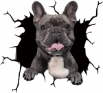 Interj&ouml;&ouml;ri kleebis Prantsuse buldog