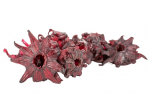 S&ouml;&ouml;davad hibiskuse&otilde;ied suhkruga, terved, 1 kg