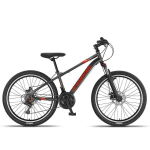 Noorte jalgratas Champions 24" Kaunos DB antratsiit, 7-k&auml;iguline, terasraam, mehaanilised ketaspidurid