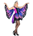 "LIBLIKAS" (seelik, tiivad, antennid)