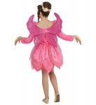 "IMEMAA HALDJAS" (kleit, tiivad)