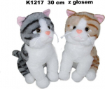 Pehme 30 cm istuv heliga kass